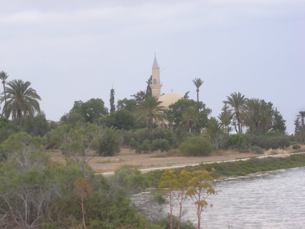 243 - Larnaka - Moschea Hala Sultan Tekkesi