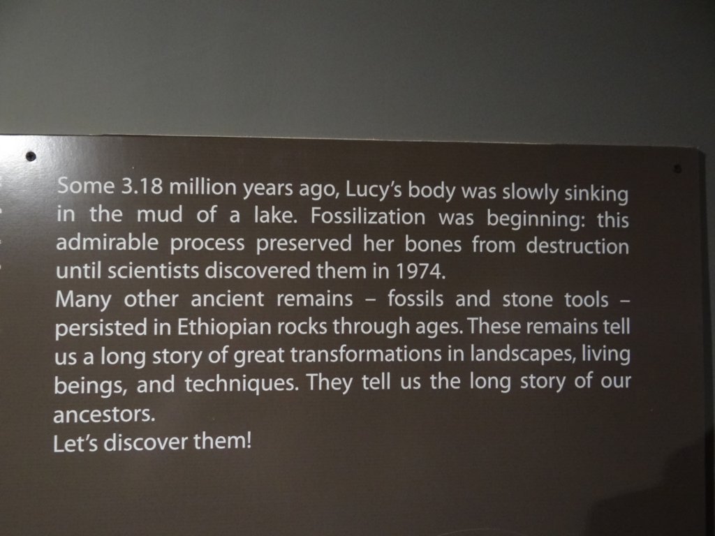 020 - Addis Abeba - Museo Nazionale dell'Etiopia - Lucy