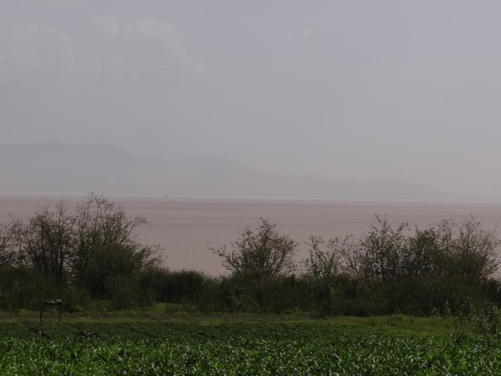 632 - Abaya Lake