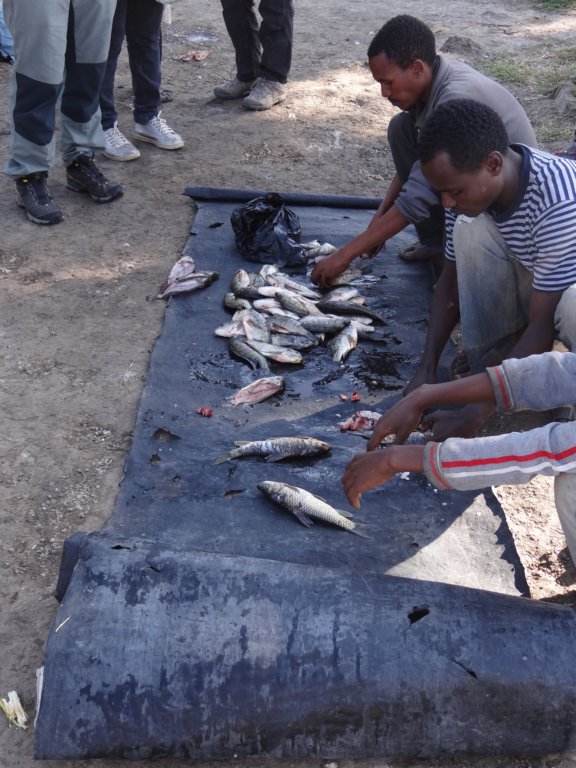 860 - Mercato del pesce di Awasa