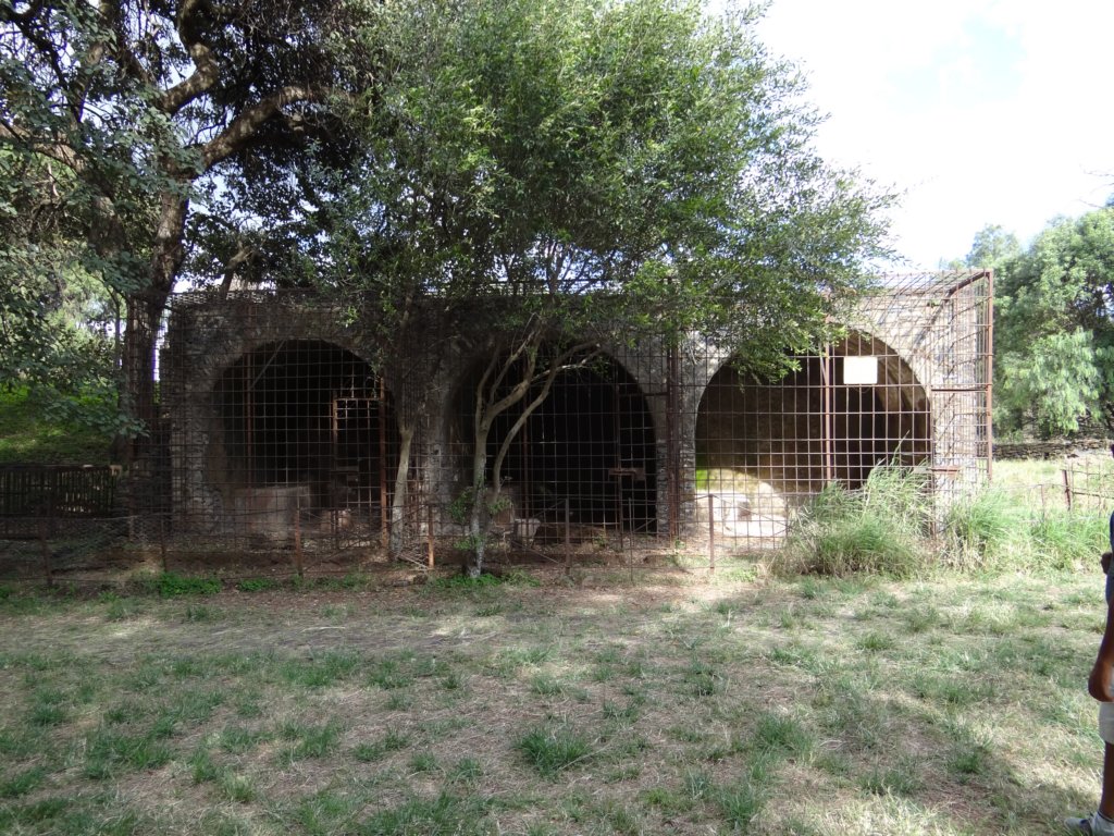 430 - Gondar - Case dei leoni
