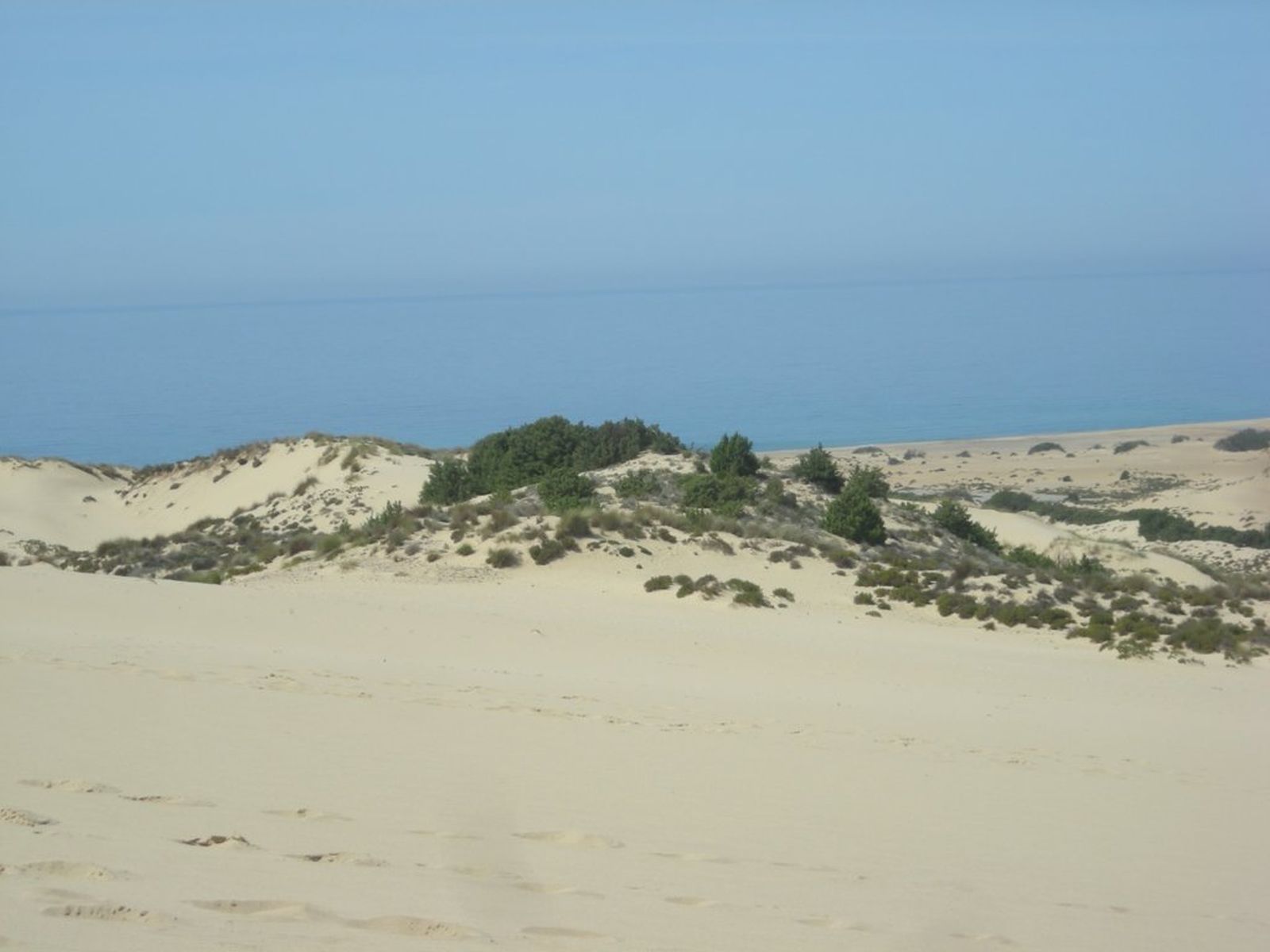203 - Dune di Piscinas