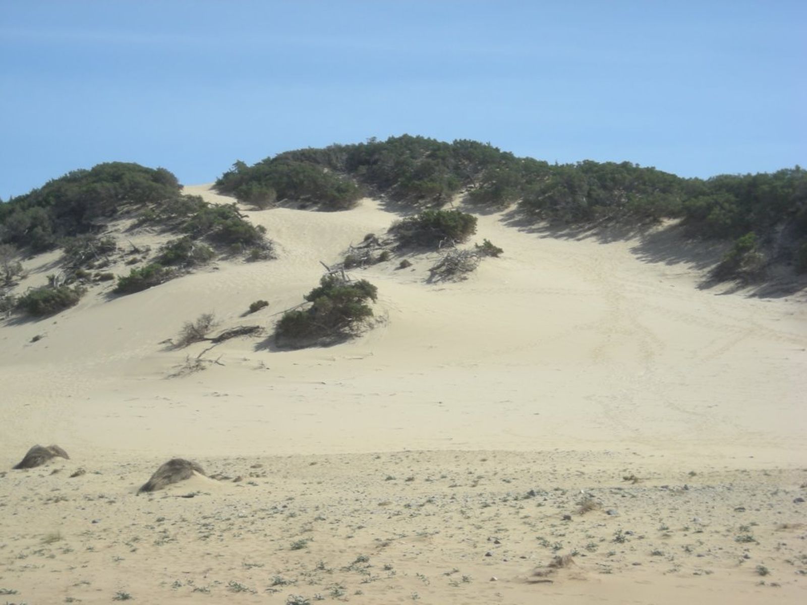206 - Dune di Piscinas