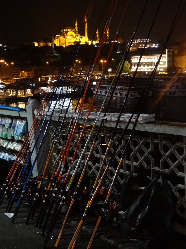 019 - Canne da pesca sul Ponte di Galata