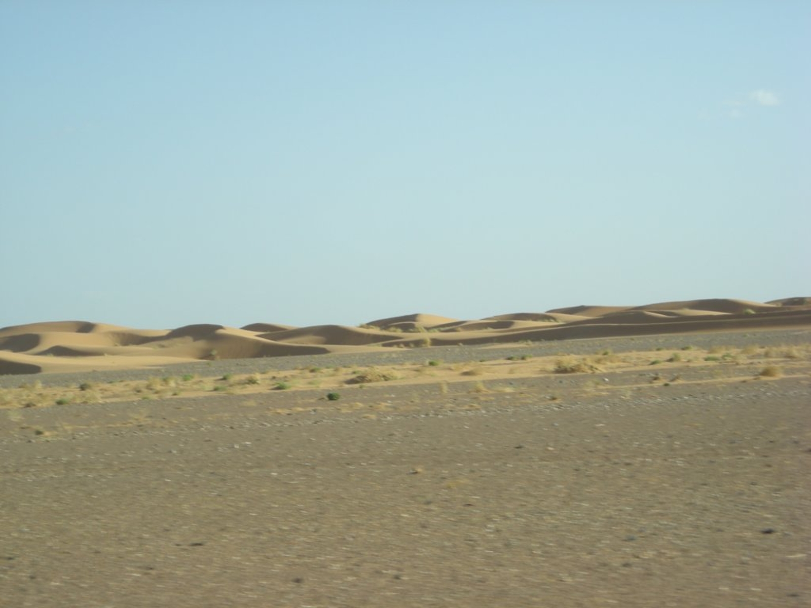 254 - Verso il deserto