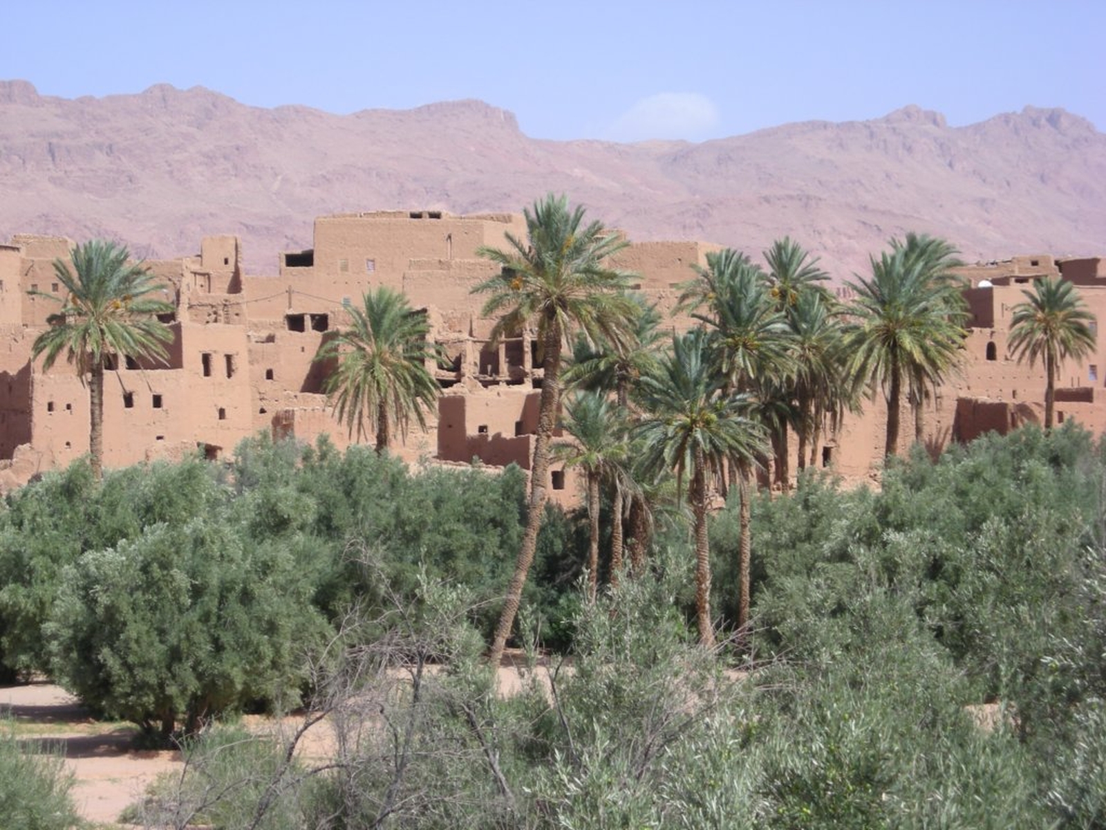 293 - Verso Ouarzazate