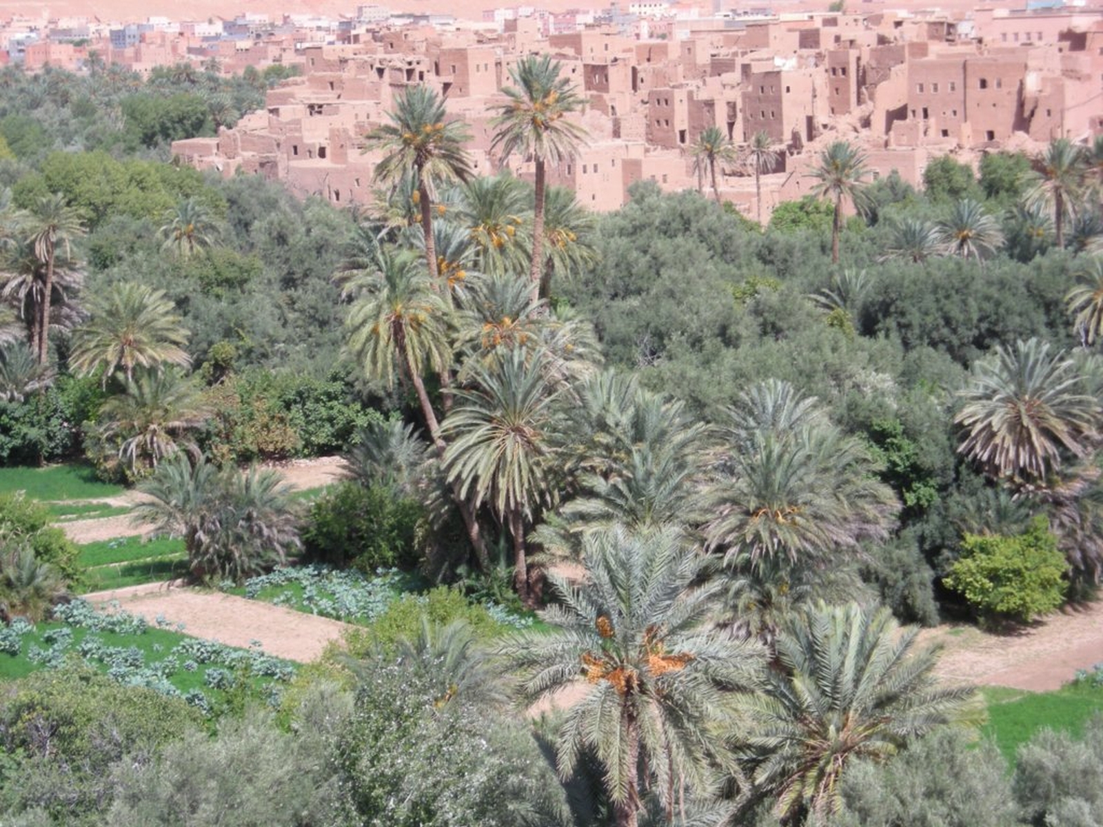 297 - Verso Ouarzazate