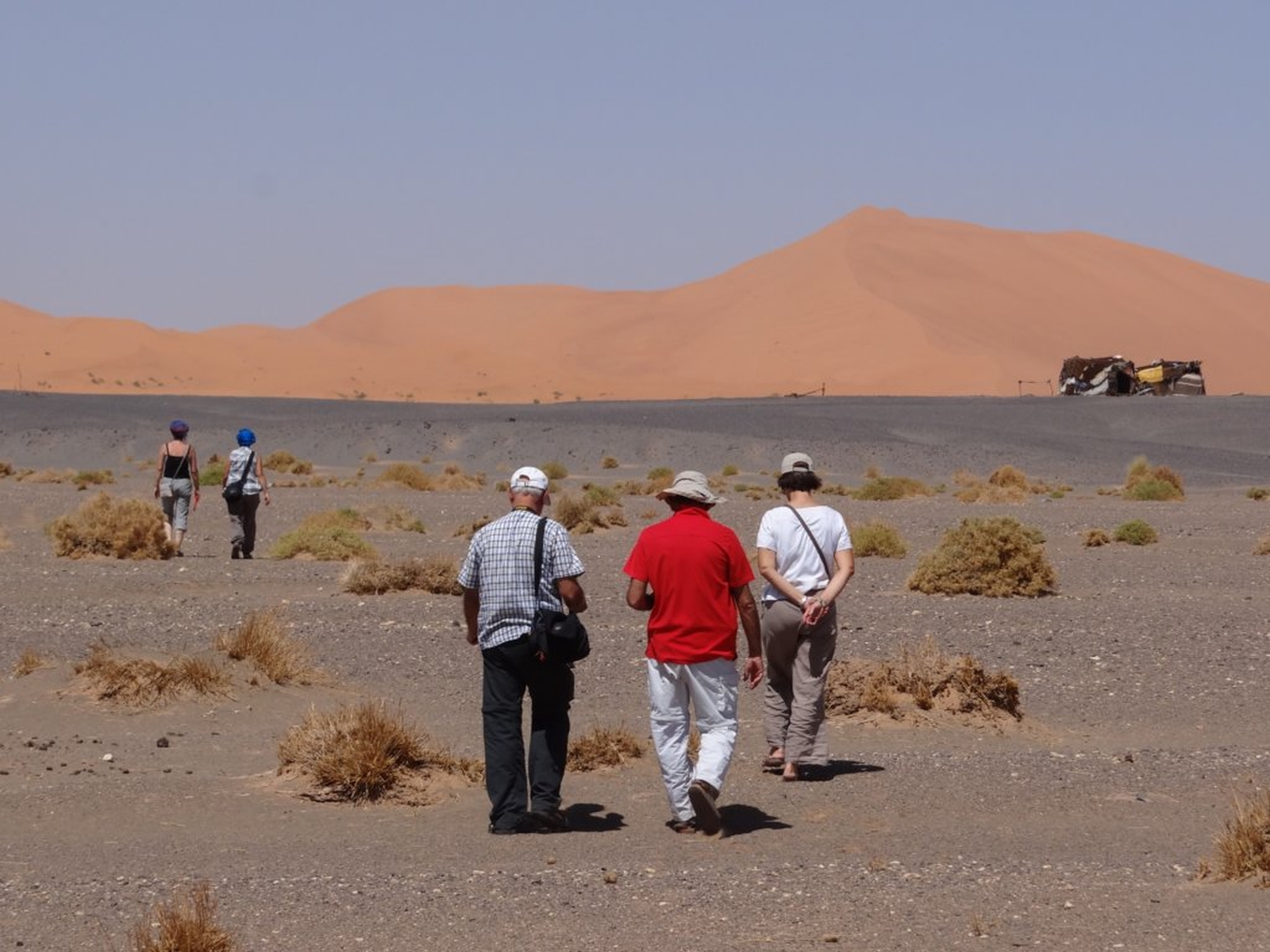 229 - Tour nel deserto - Quarta tappa - Se vi piace cammirare..... camminate!