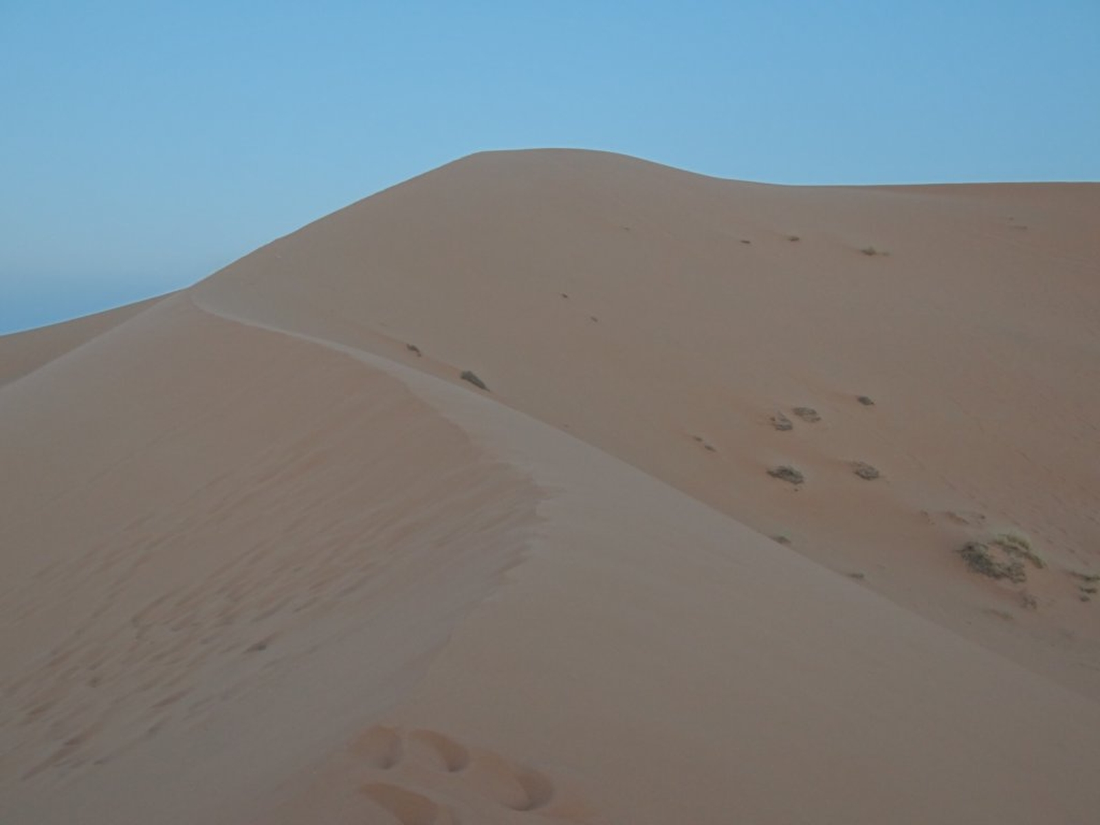 252 - Saliti sulla duna