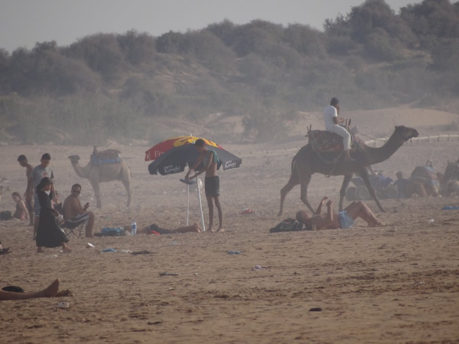 416 - Spiaggia di Essaouira