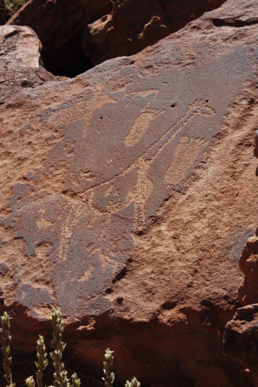 181 - Pitture rupestri (grafiti) a Twyfelfontein