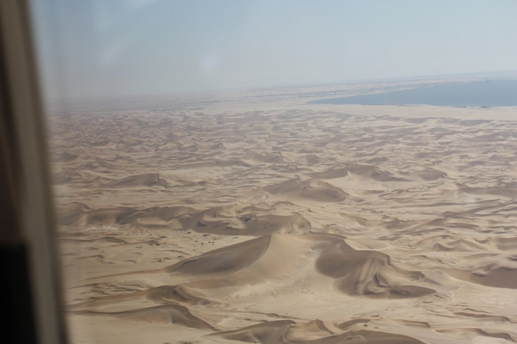 263 - Dune costiere