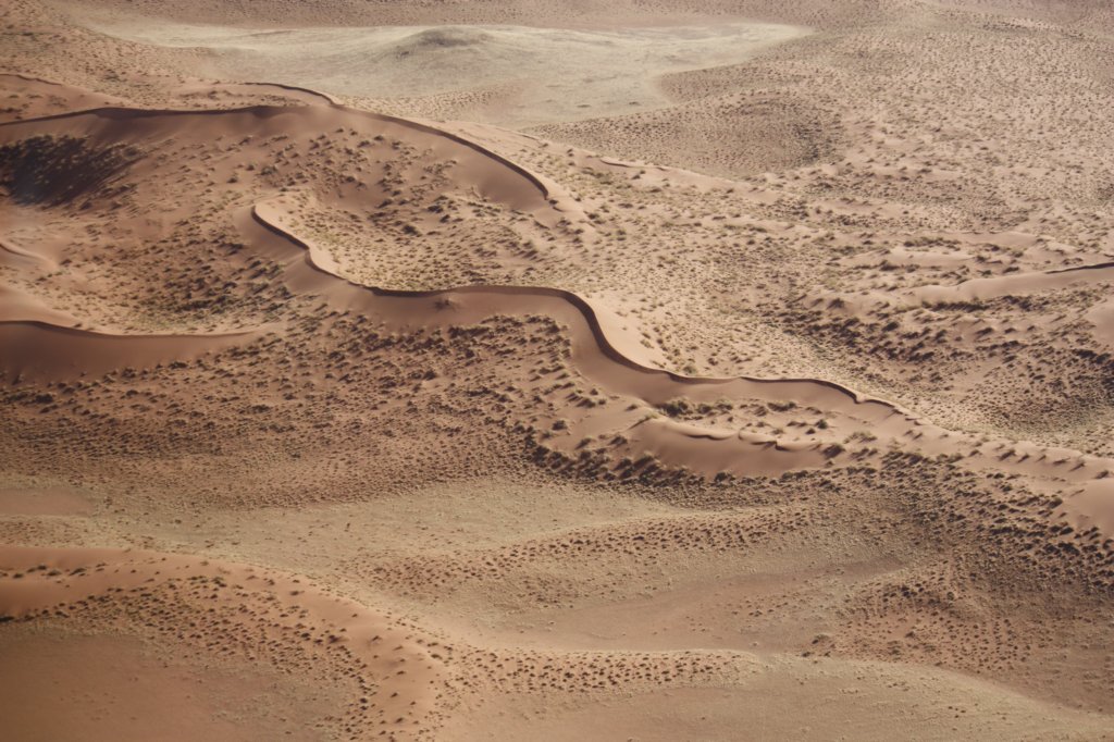 271 - E ancora il deserto del Namib