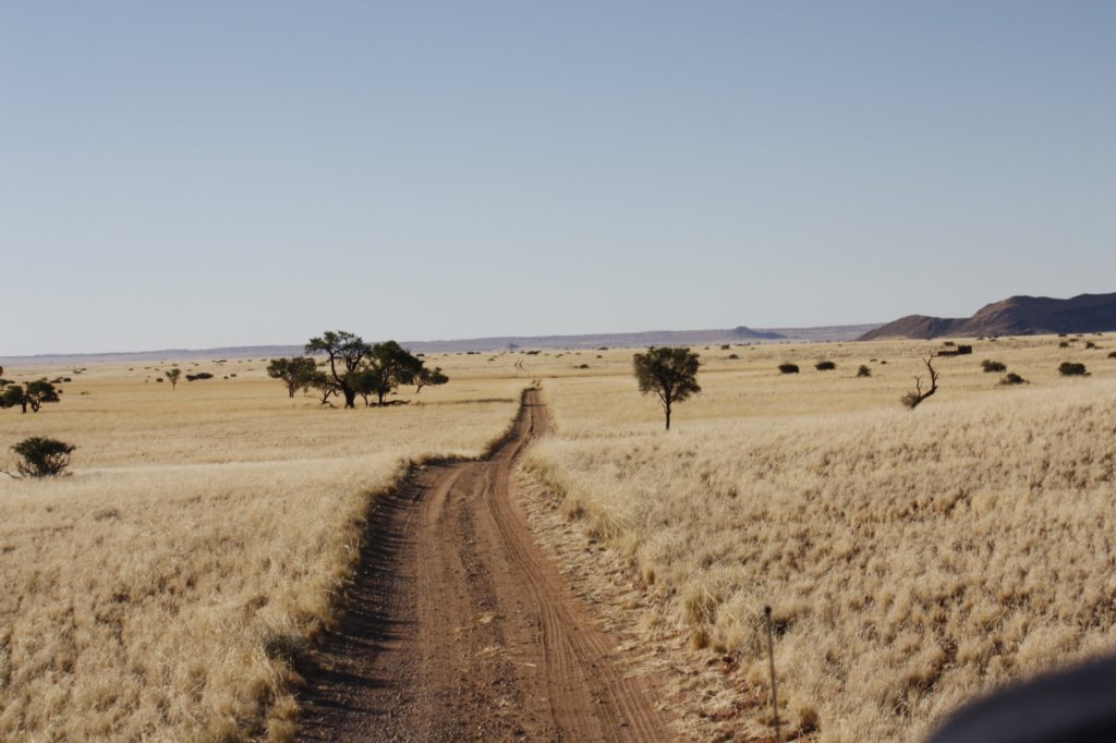 330 - Giro nelle proprietà del Namib Desert Lodge