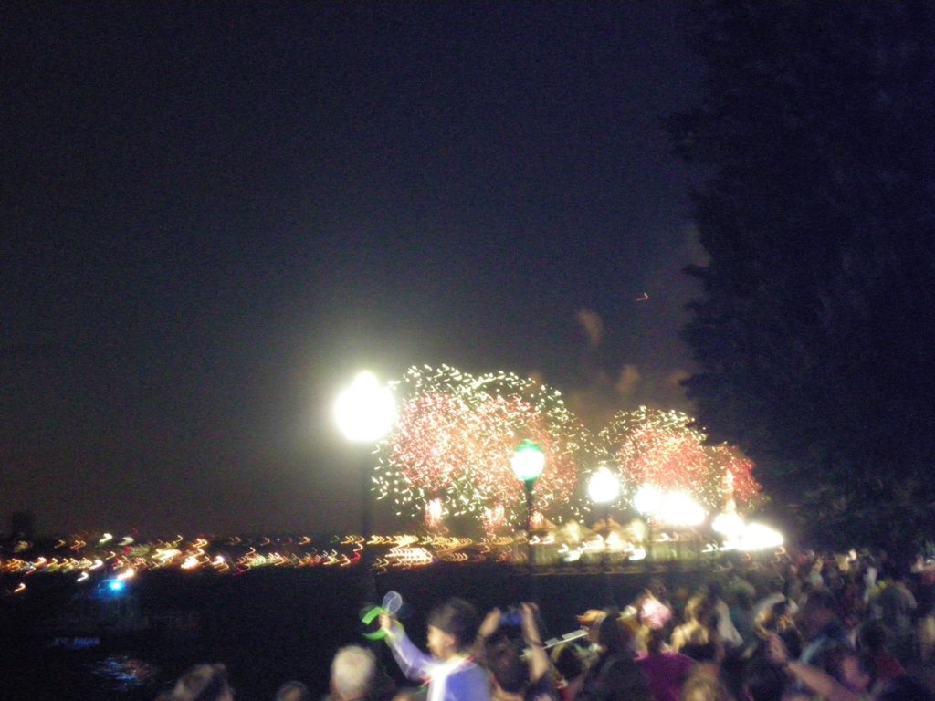 065 - Fuochi d'Artificio per la Festa dell'Indipendenza
