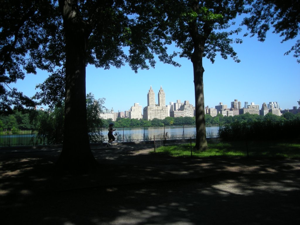 118 - Central Park