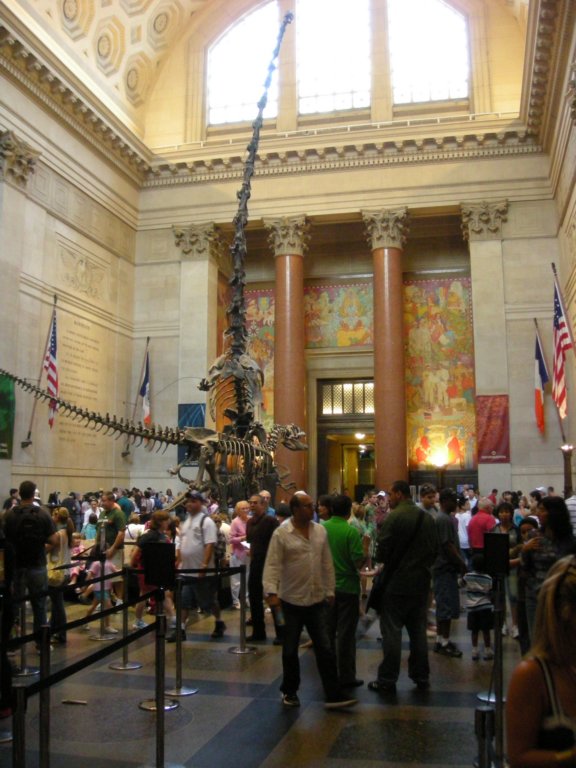 209 - American Museum of Natural History