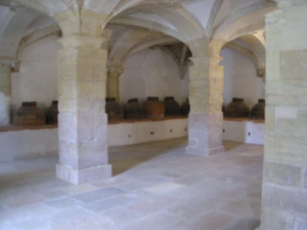 233 - Tomar - Convento de Cristo - Adega de azeite do Conte de Tomar
