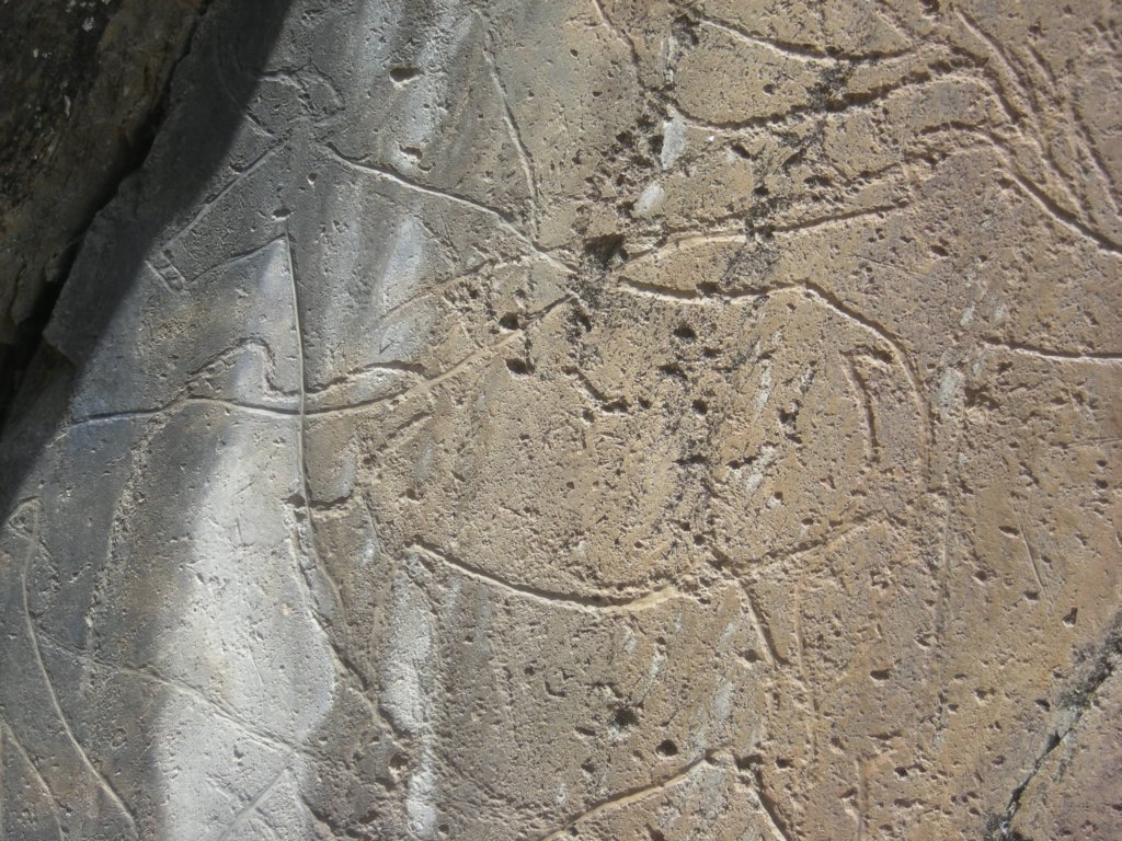 318 - Parque Arqueologico do Vale de Coa -Incisioni rupestri risalenti al Paleolitico
