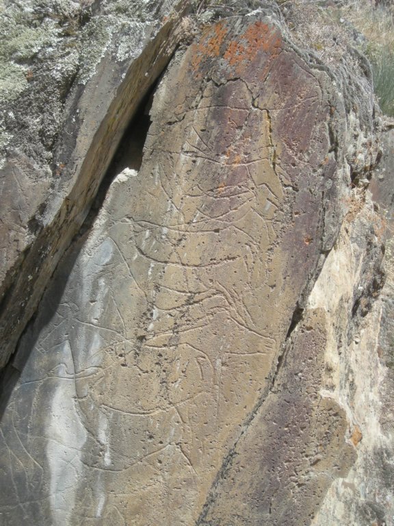 319 - Parque Arqueologico do Vale de Coa -Incisioni rupestri risalenti al Paleolitico