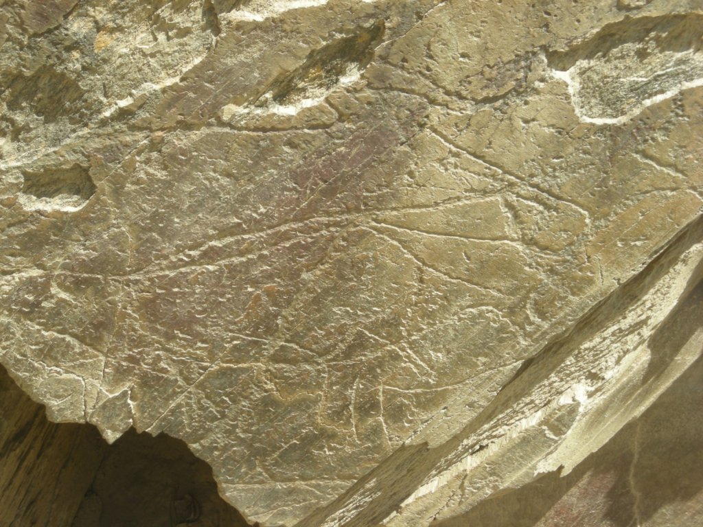 320 - Parque Arqueologico do Vale de Coa -Incisioni rupestri risalenti al Paleolitico