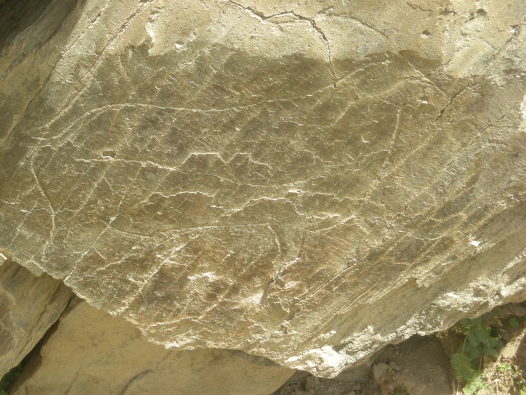 321 - Parque Arqueologico do Vale de Coa -Incisioni rupestri risalenti al Paleolitico
