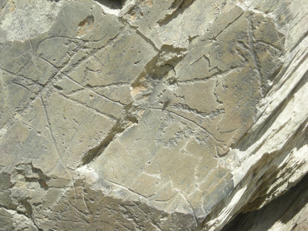 322 - Parque Arqueologico do Vale de Coa -Incisioni rupestri risalenti al Paleolitico