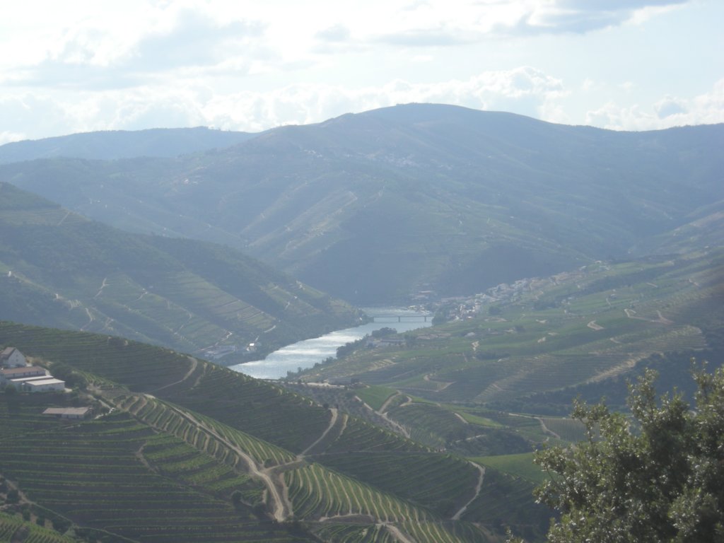 326 - Alta valle del Douro
