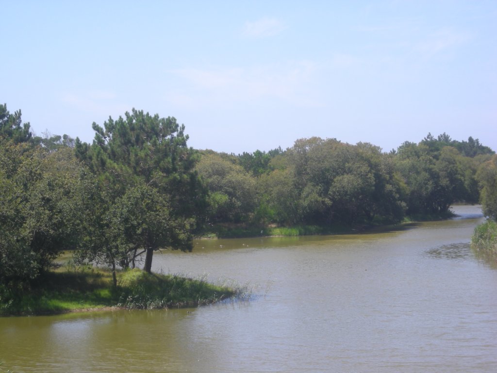 485 - Reserva Natural Das Dunas de São Jacinto