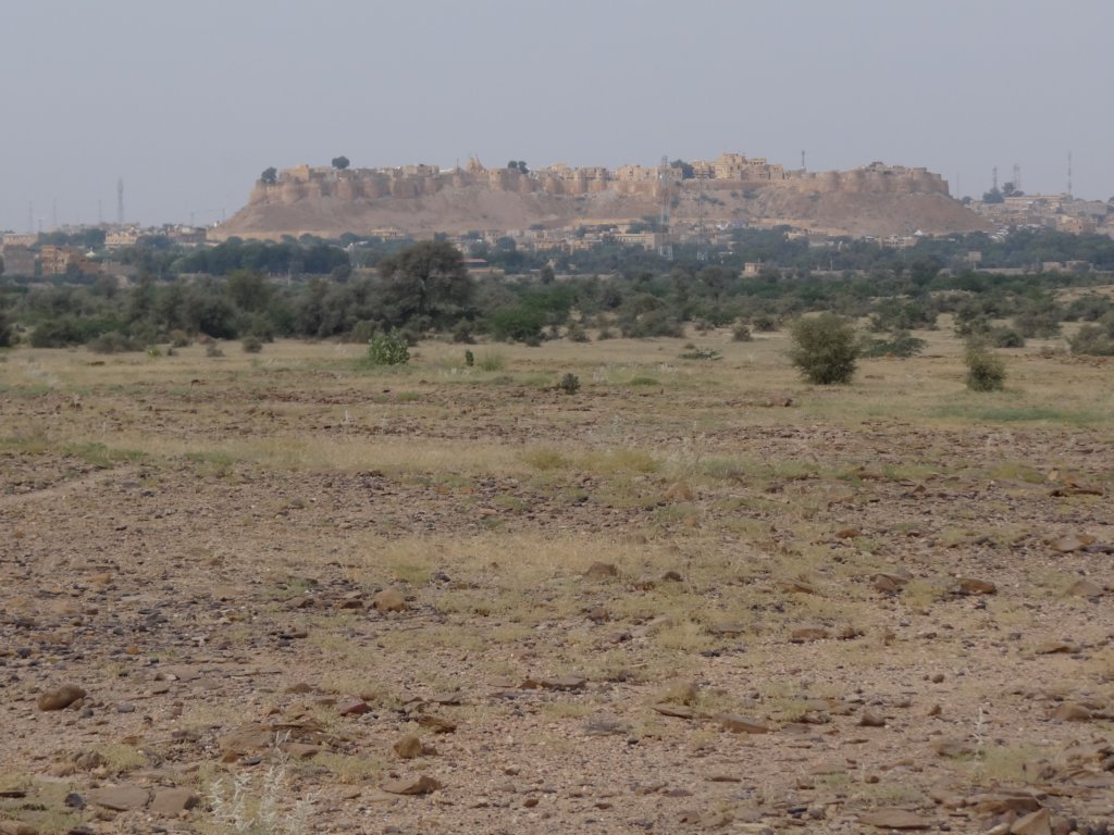 143 - Jaisalmer dal deserto