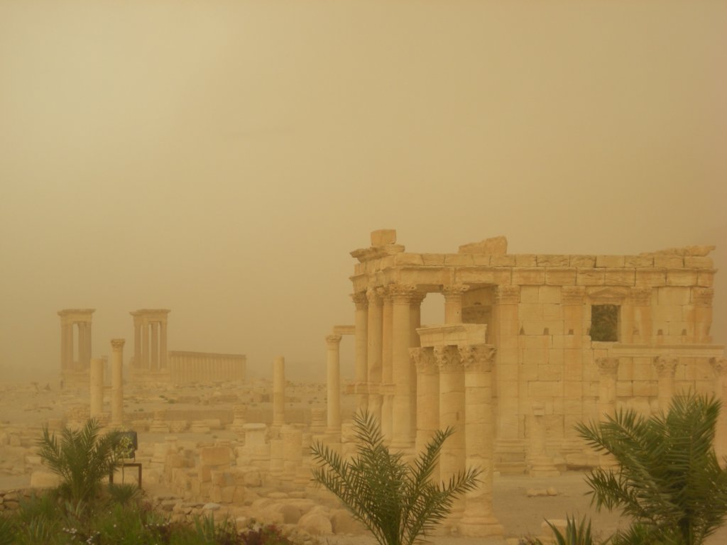 143 - Tempesta a Palmira