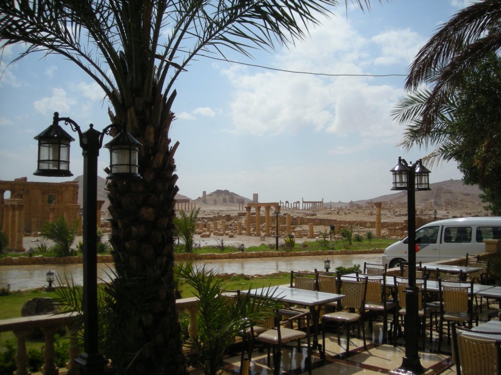 146 - Palmira dopo la tempesta