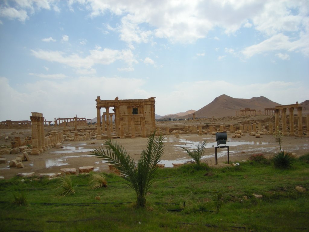 147 - Palmira dopo la tempesta
