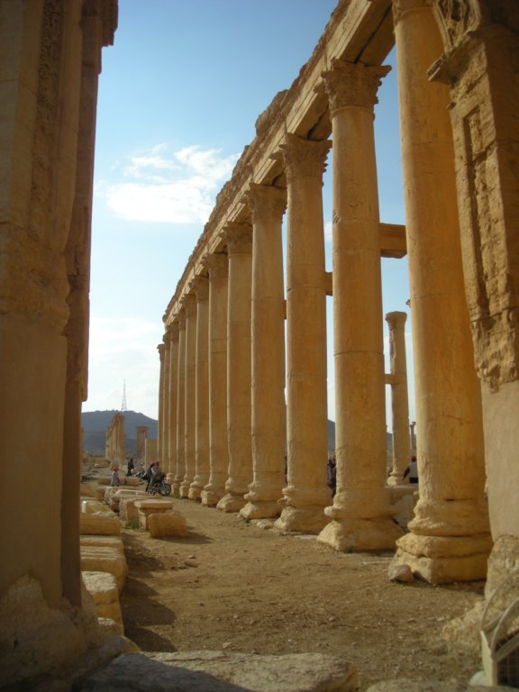 163 - Palmira - Colonnato