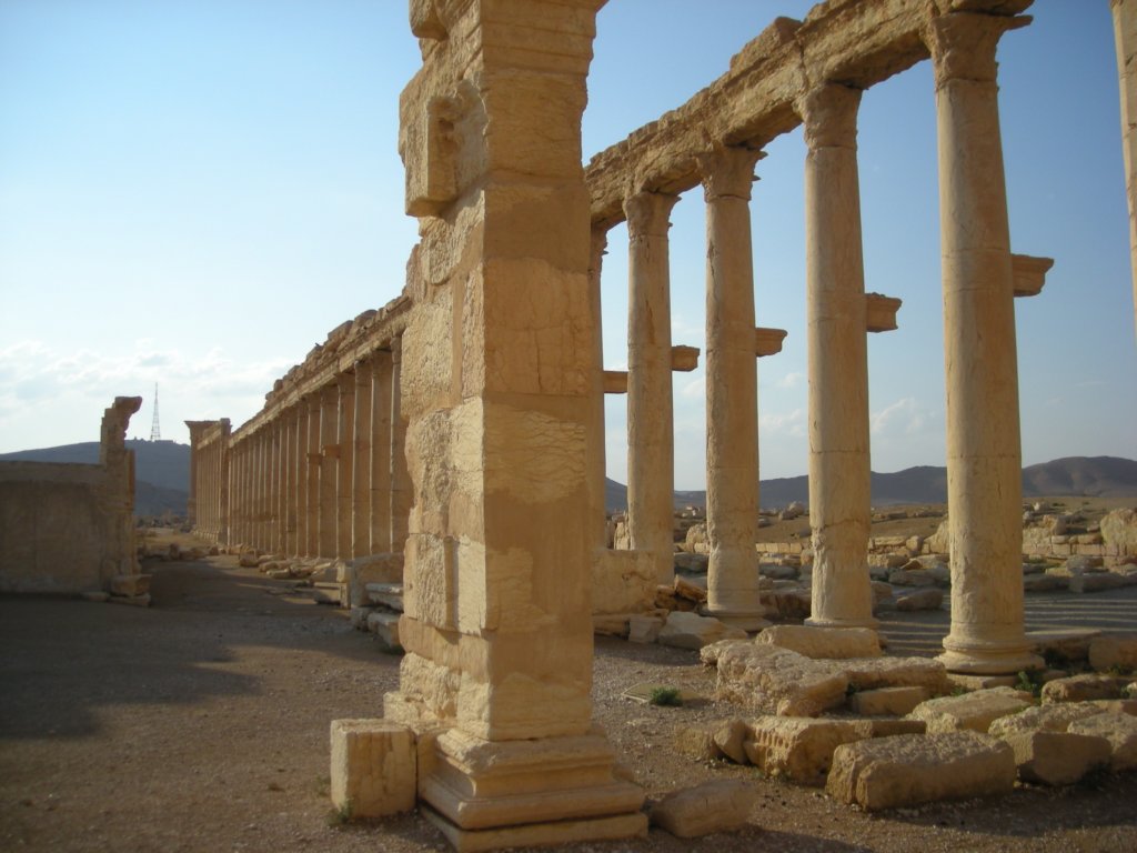 167 - Palmira