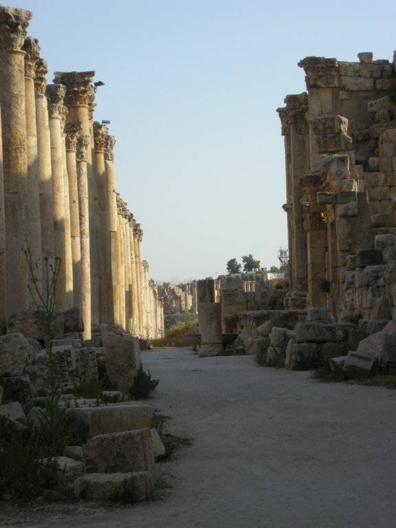 273 - Jerash - Cardo Maximus