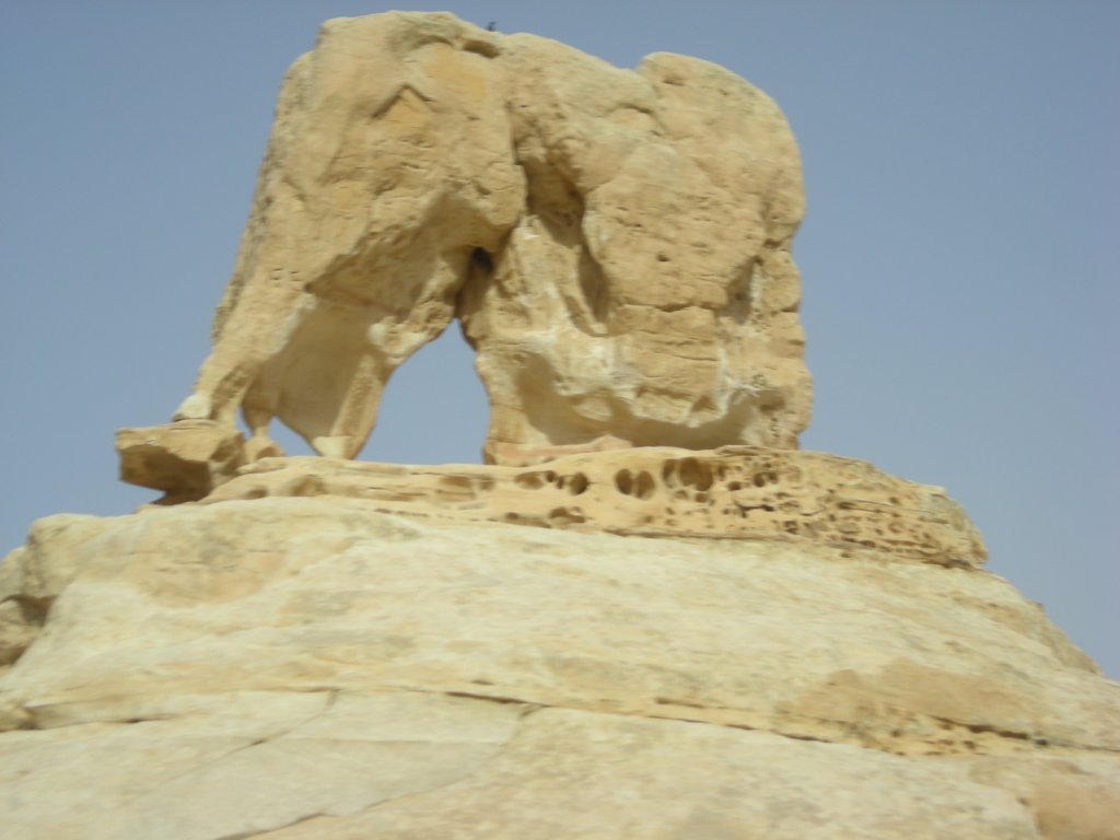 394 - Petra - L'elefante
