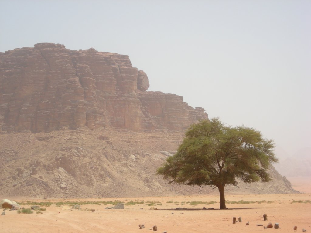 414 - Wadi Rum