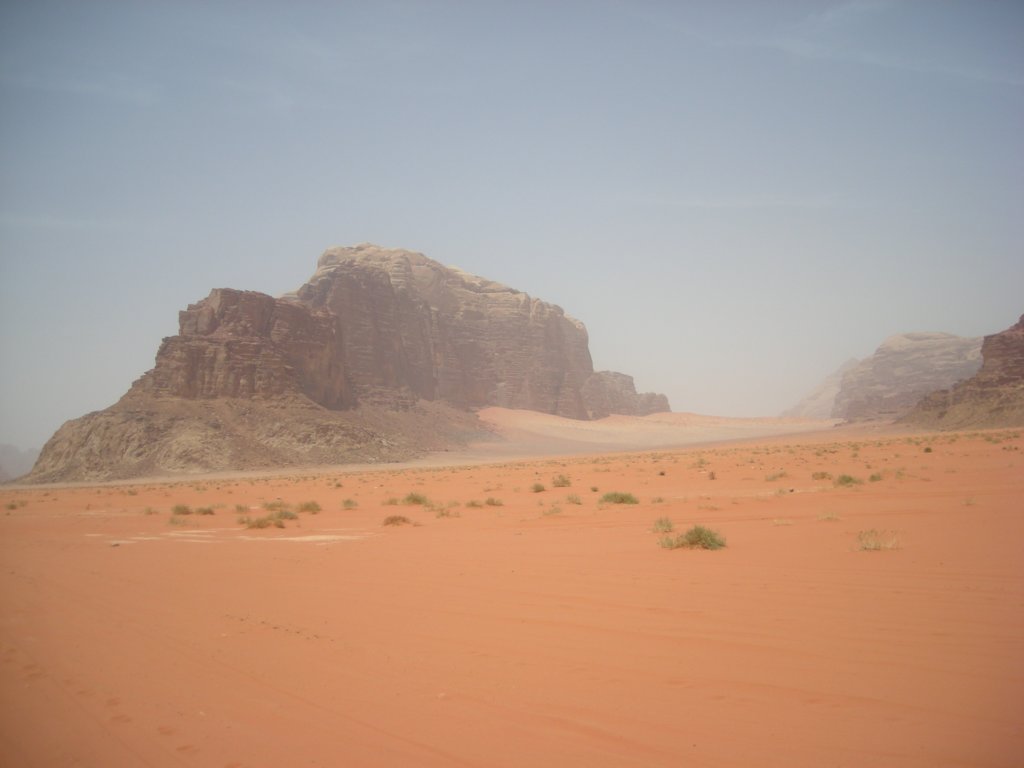 418 - Wadi Rum