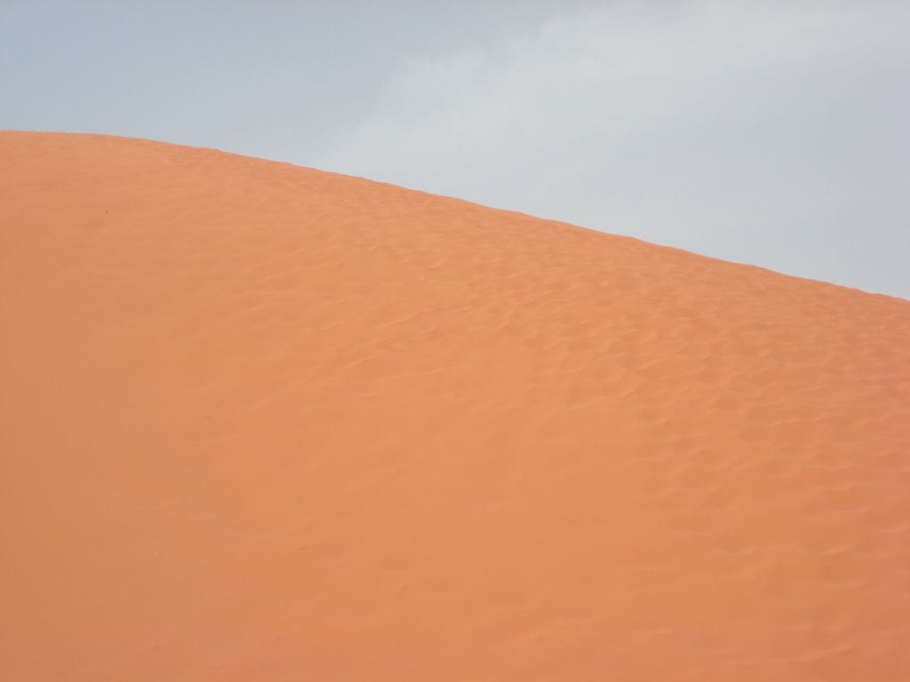 426 - Wadi Rum