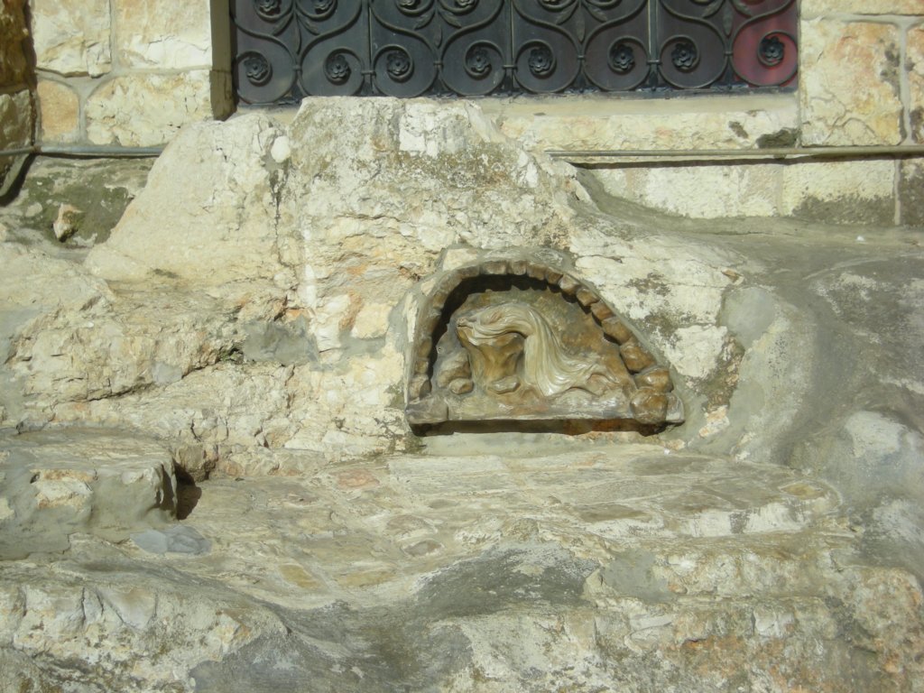247 - Gerusalemme - Orto del Getsemani