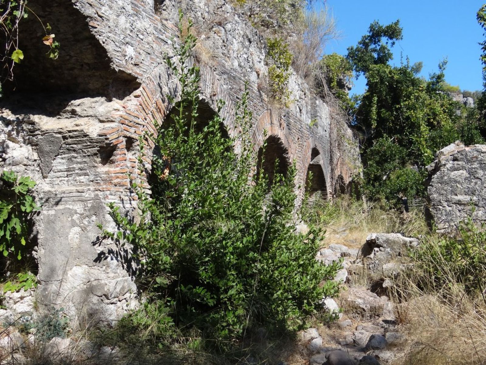 188 - Sito Archeologico di Olympos
